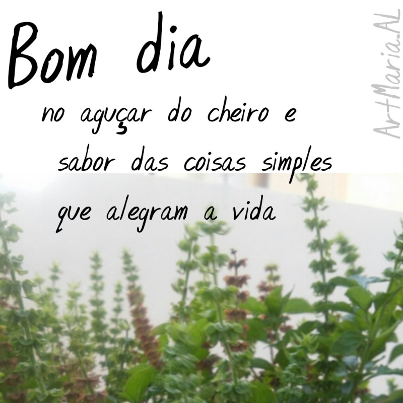 bom dia familia para whatsapp 0e95dbc8c