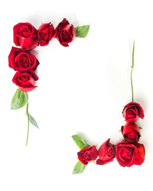 fundo de rosas vermelhas para convite 60d7bc475