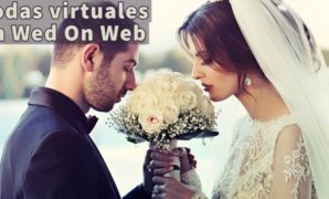 wedonweb casamento fe73735f5